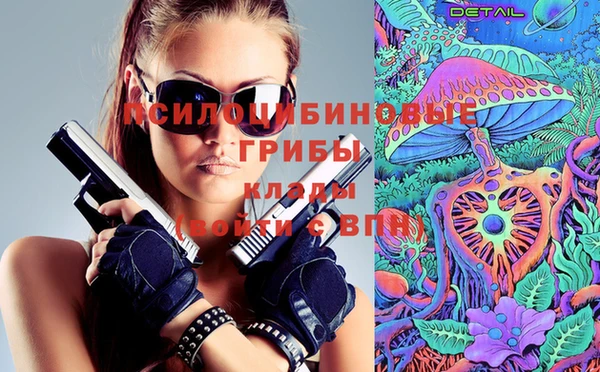бошки Арсеньев