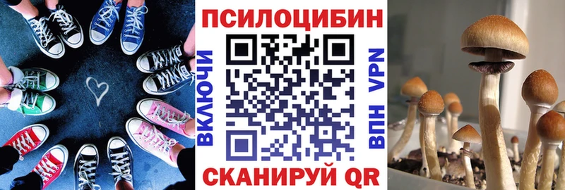 Галлюциногенные грибы прущие грибы  Арск 